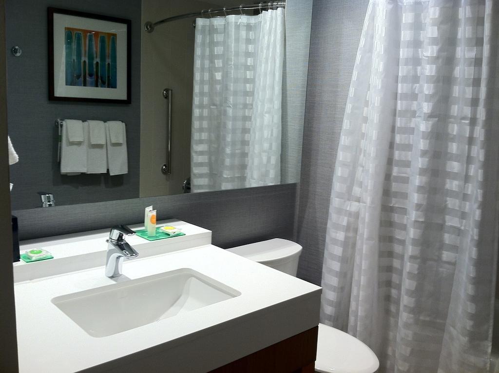 Hyatt Place Detroit/Novi Oda fotoğraf
